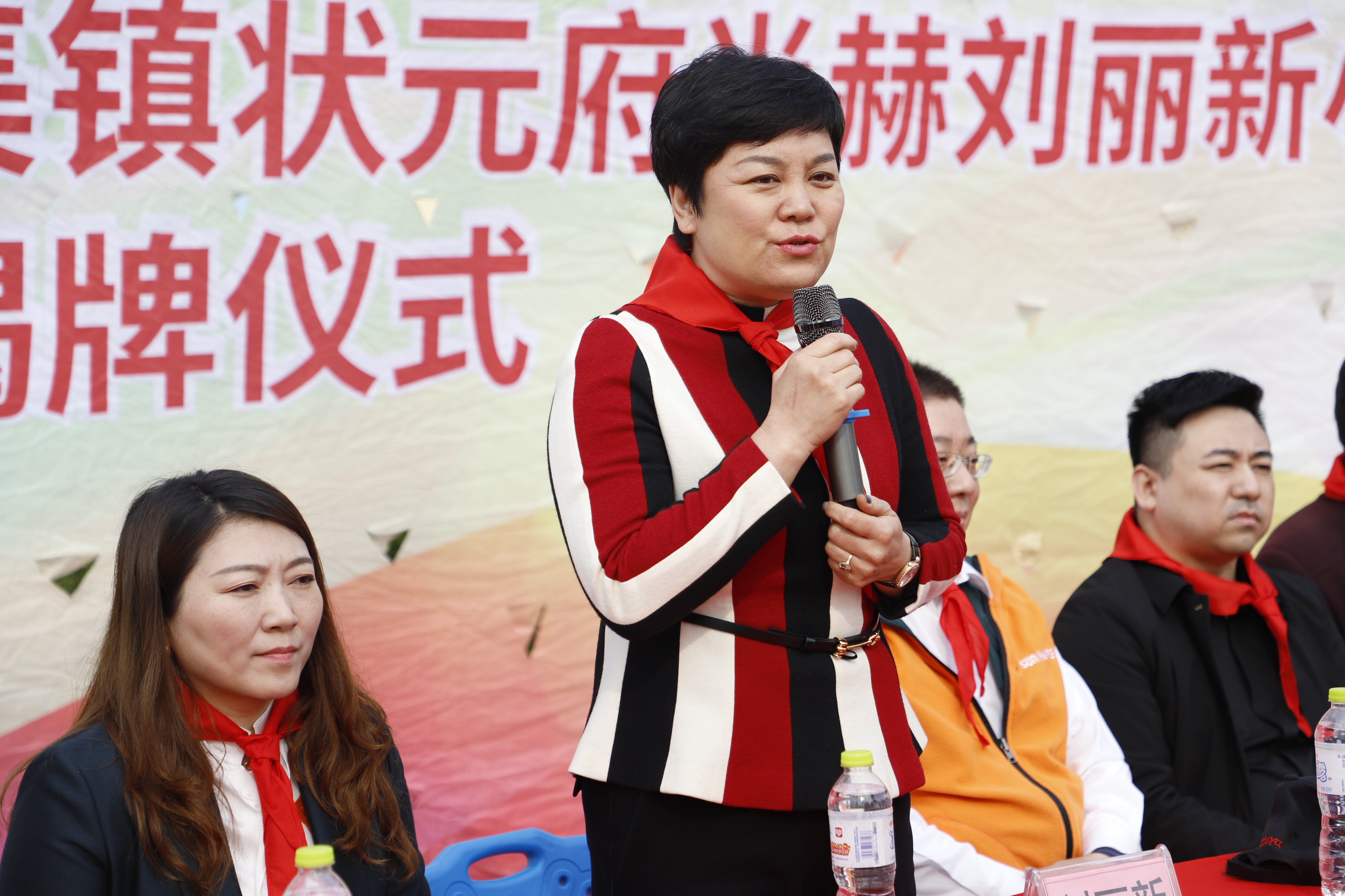 第209所 平度市崔家集镇状元府乐竞(中国)刘丽新小学 第209所 平度市崔家集镇状元府乐竞(中国)刘丽新小学