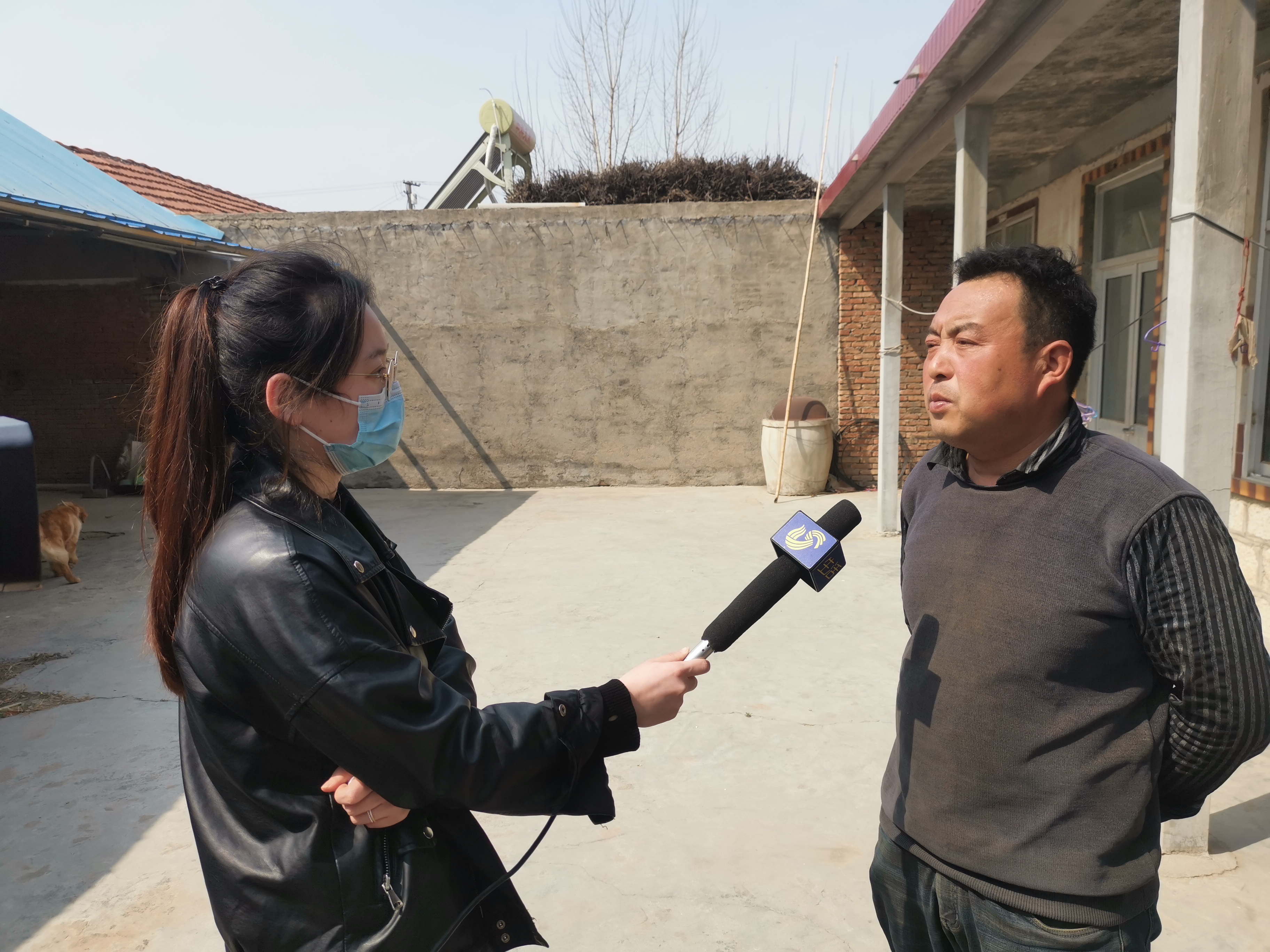 第209所 平度市崔家集镇状元府乐竞(中国)刘丽新小学 第209所 平度市崔家集镇状元府乐竞(中国)刘丽新小学