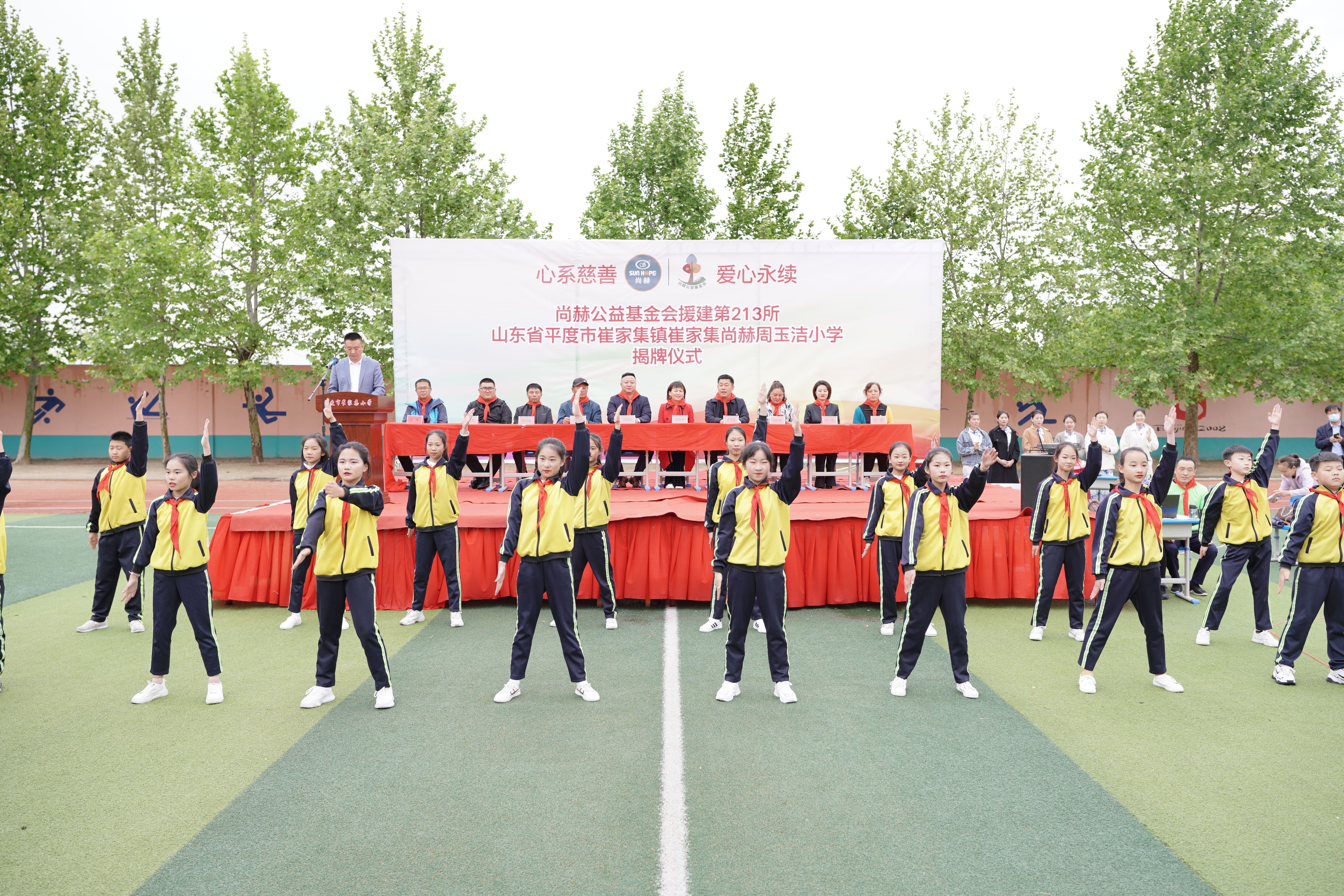 第213所 平度市崔家集镇崔家集乐竞（中国）周玉洁小学