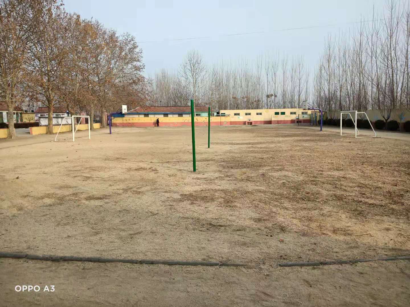 第209所 平度市崔家集镇状元府乐竞(中国)刘丽新小学 第209所 平度市崔家集镇状元府乐竞(中国)刘丽新小学