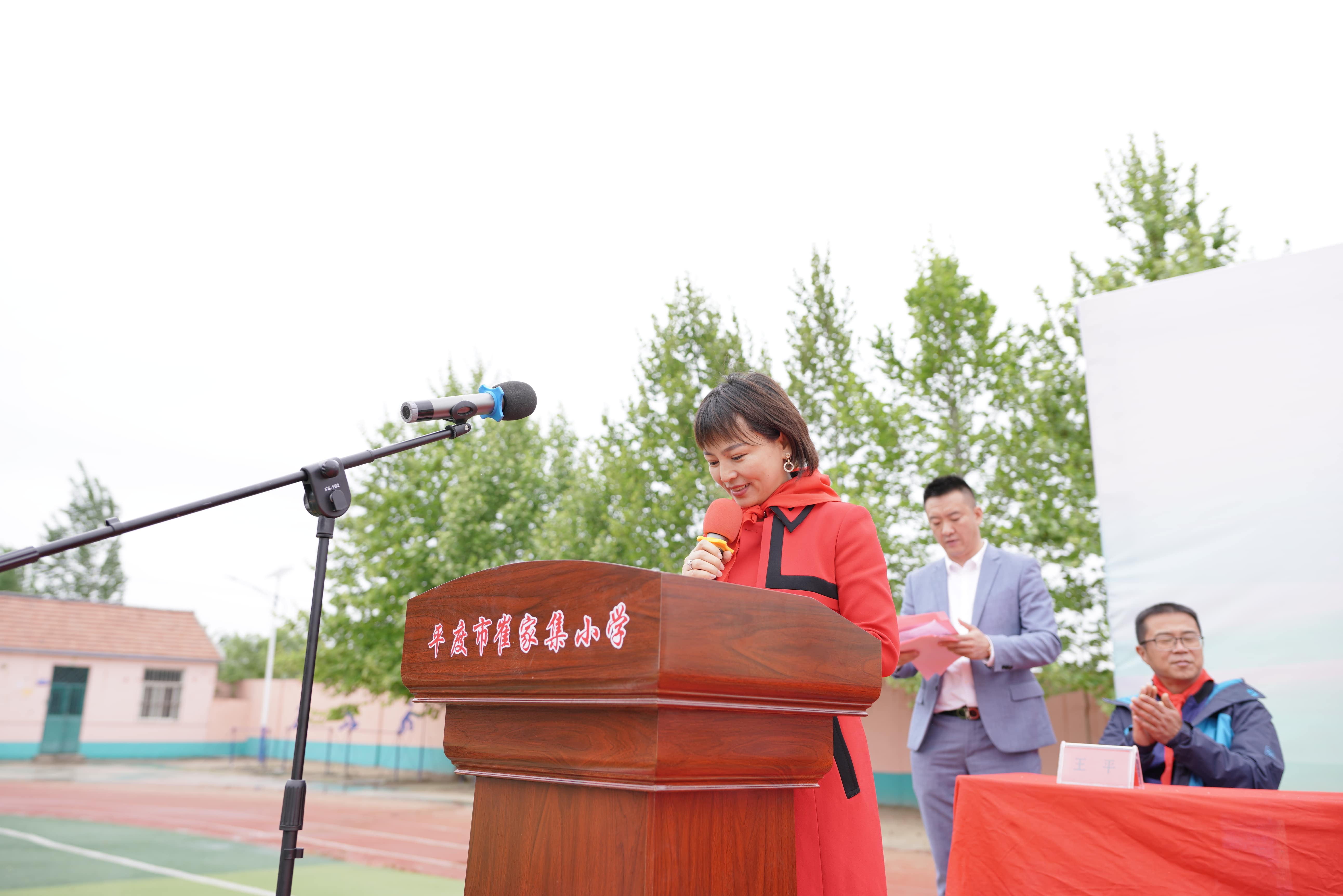第213所 平度市崔家集镇崔家集乐竞（中国）周玉洁小学